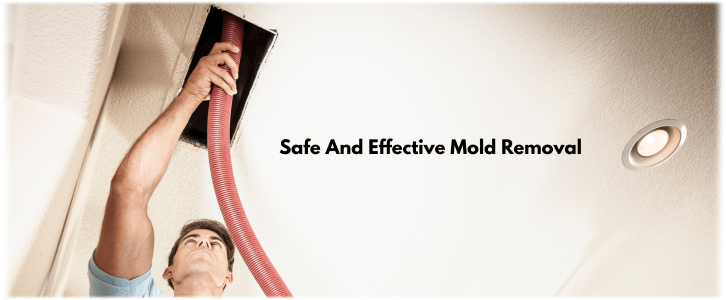 Air Duct Mold Removal in McKinney TX