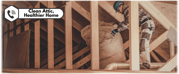 Attic Cleaning McKinney TX