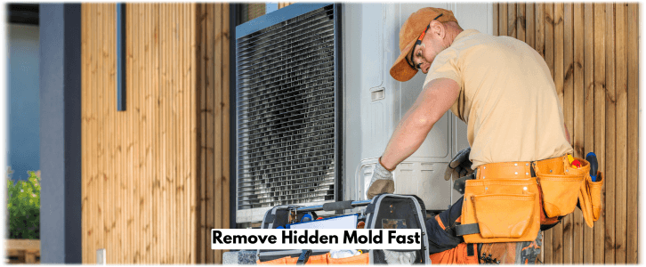 HVAC Mold Removal McKinney TX